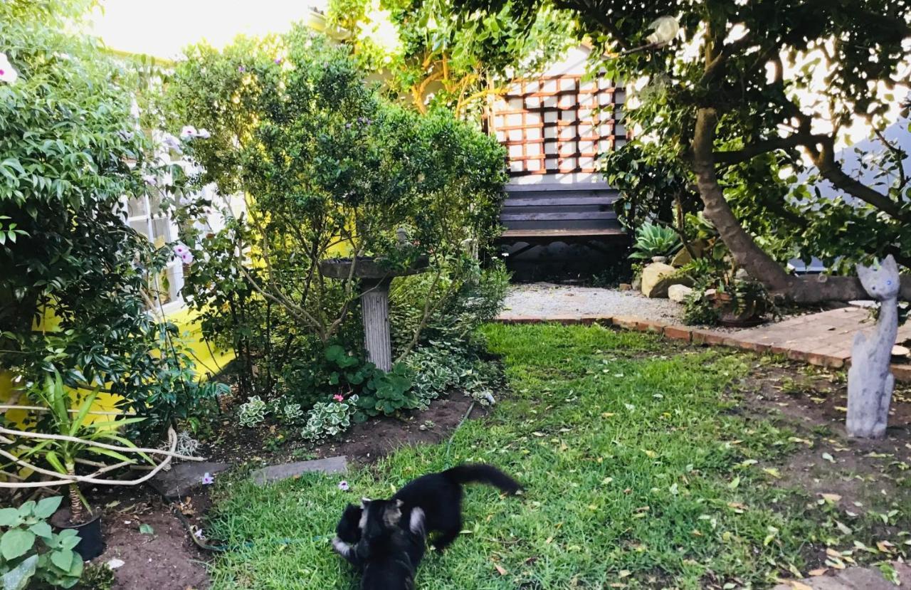 Homestay Funky Hermanus